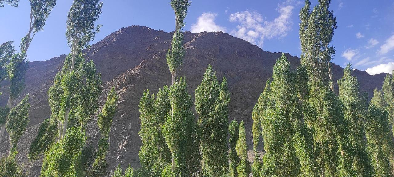 Norbooling Homestay, Leh Ladakh 외부 사진