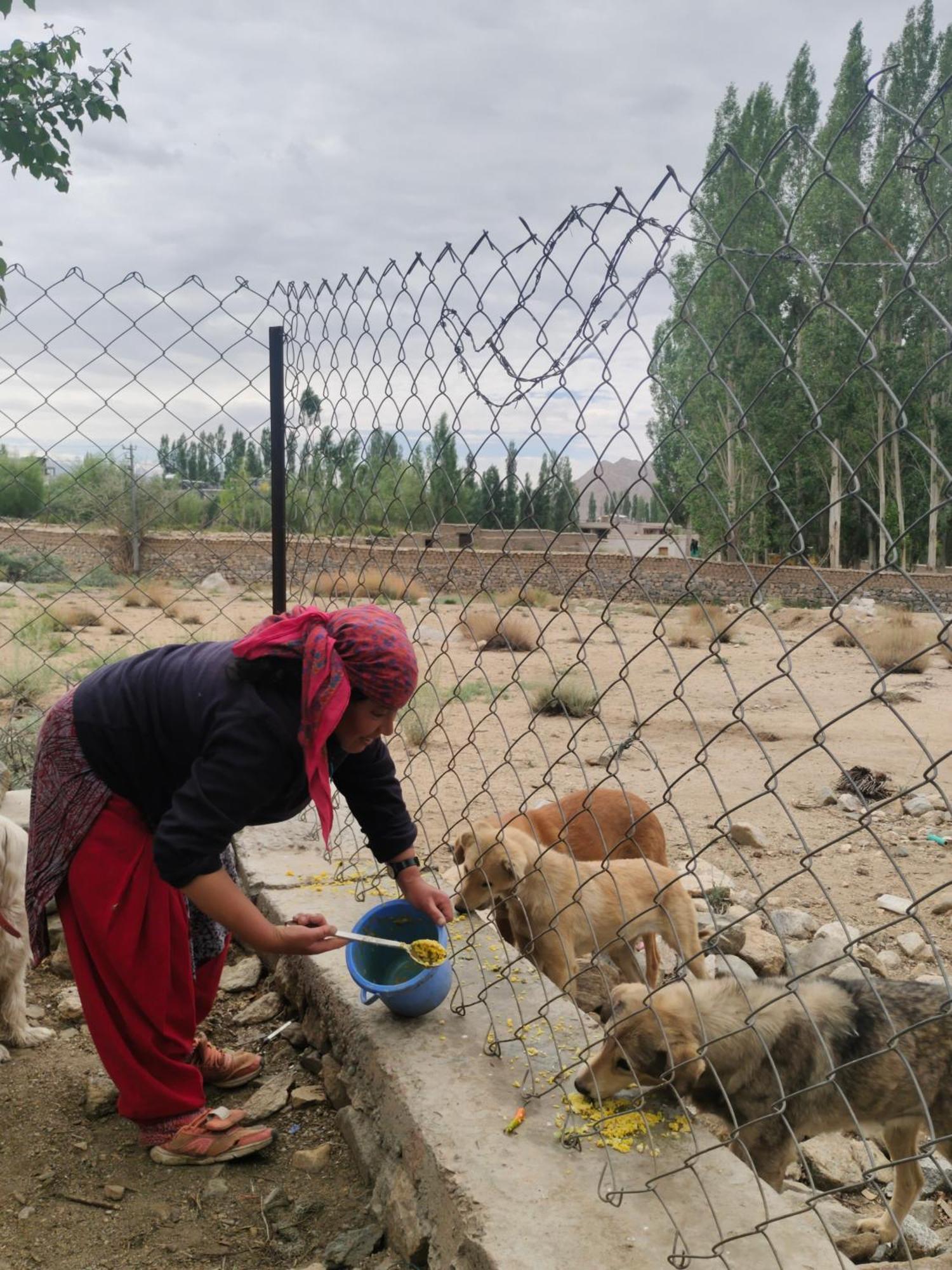 Norbooling Homestay, Leh Ladakh 외부 사진